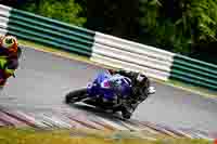 Advanced Group Blue Bikes